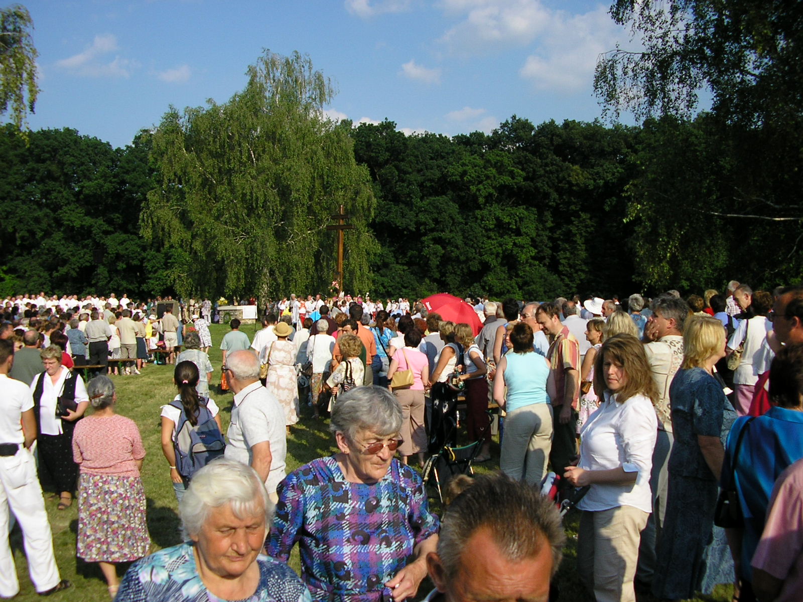 MIKULČICE 2006 050.jpg
